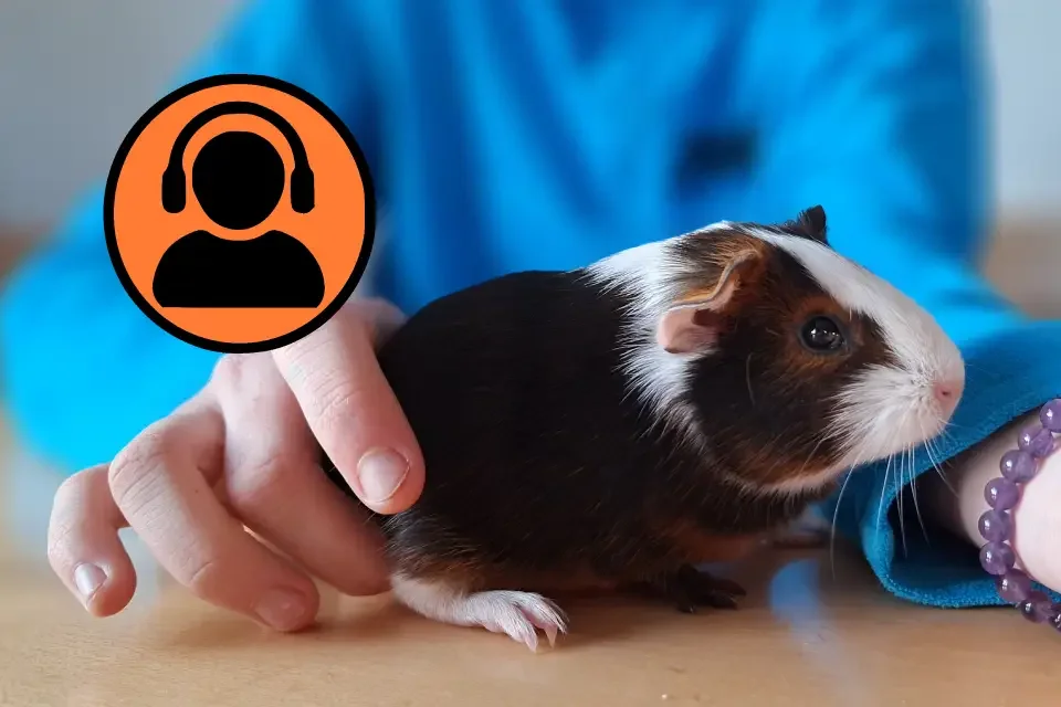 Das Pamirschwein