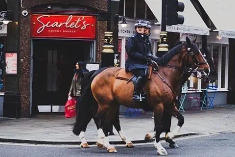 Schnappschuss aus London